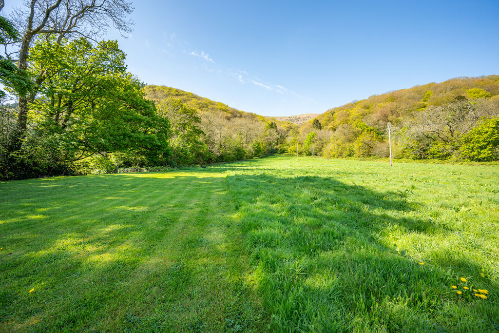 Field/Pasture Land - click for photo gallery